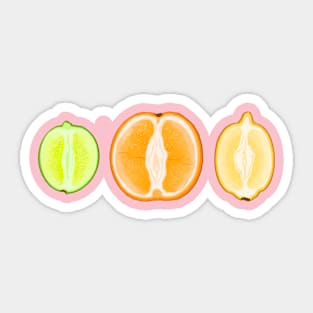 Citrussy Sticker